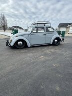 Thumbnail Photo 6 for 1964 Volkswagen Beetle