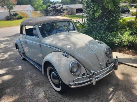 Photo 1 for 1964 Volkswagen Beetle