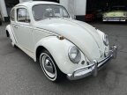 Thumbnail Photo 1 for 1964 Volkswagen Beetle