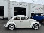 Thumbnail Photo 2 for 1964 Volkswagen Beetle