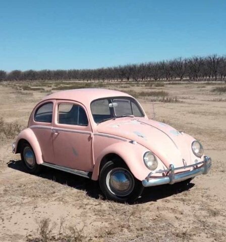 1964 Volkswagen Beetle