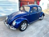 1964 Volkswagen Beetle