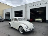 1964 Volkswagen Beetle