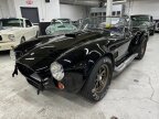 Thumbnail Photo 3 for 1965 AC Cobra