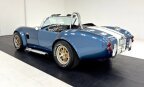 Thumbnail Photo 2 for 1965 AC Cobra
