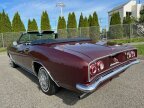 Thumbnail Photo 2 for 1965 Chevrolet Corvair