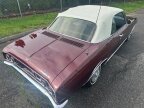 Thumbnail Photo 5 for 1965 Chevrolet Corvair