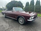 Thumbnail Photo 3 for 1965 Chevrolet Corvair