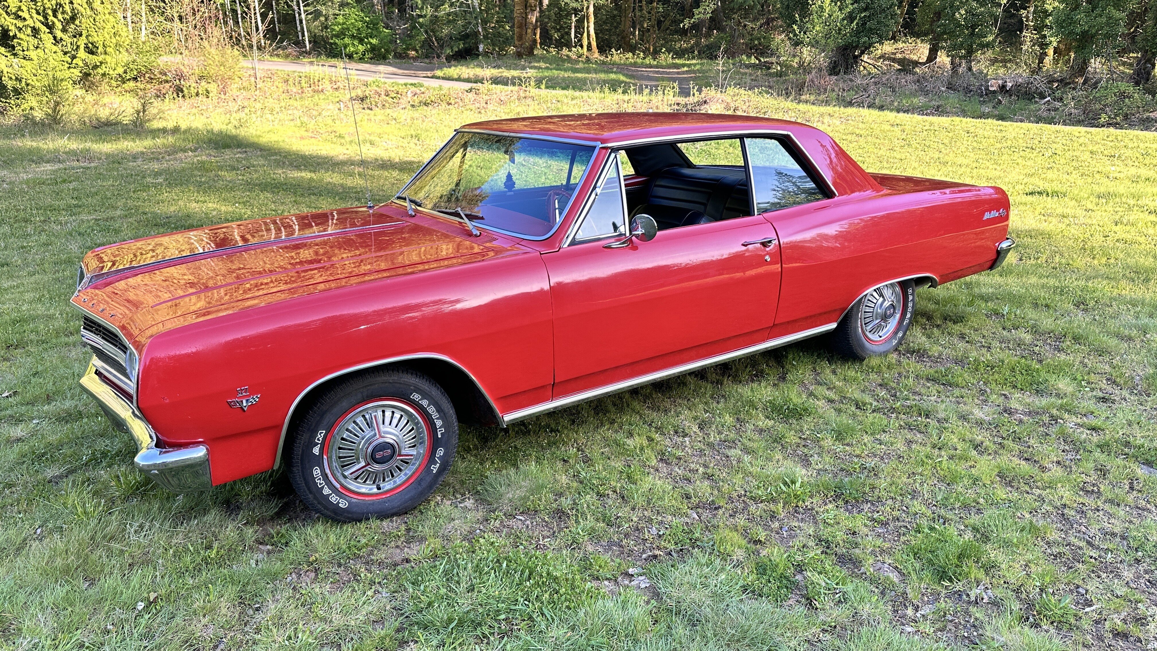 1965 Chevrolet Malibu Classic Cars for Sale - Classics on Autotrader