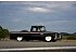 1965 Ford F100