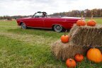 Thumbnail Photo 2 for 1965 Ford Galaxie for Sale by Owner