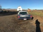 Thumbnail Photo 1 for 1965 Ford Galaxie