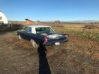 Thumbnail Photo 2 for 1965 Ford Galaxie
