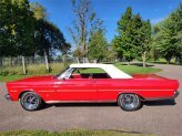 1965 Ford Galaxie