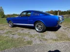 Thumbnail Photo 2 for 1965 Ford Mustang Fastback for Sale by Owner