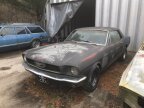 Thumbnail Photo 1 for 1965 Ford Mustang