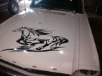 Thumbnail Photo 1 for 1965 Ford Mustang Coupe