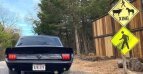 Thumbnail Photo 2 for 1965 Ford Mustang