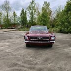 Thumbnail Photo 4 for 1965 Ford Mustang