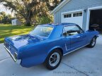 Thumbnail Photo 2 for 1965 Ford Mustang