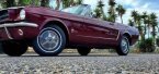 Thumbnail Photo 2 for 1965 Ford Mustang