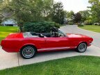 Thumbnail Photo 3 for 1965 Ford Mustang