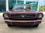 Thumbnail Photo 2 for 1965 Ford Mustang
