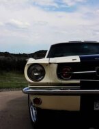 Thumbnail Photo 2 for 1965 Ford Mustang
