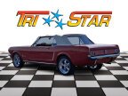 Thumbnail Photo 6 for 1965 Ford Mustang