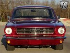 Thumbnail Photo 2 for 1965 Ford Mustang