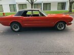 Thumbnail Photo 3 for 1965 Ford Mustang