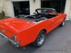 Thumbnail Photo 1 for 1965 Ford Mustang