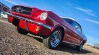Thumbnail Photo 1 for 1965 Ford Mustang