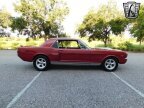Thumbnail Photo 3 for 1965 Ford Mustang