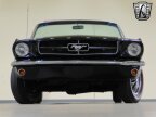 Thumbnail Photo 6 for 1965 Ford Mustang