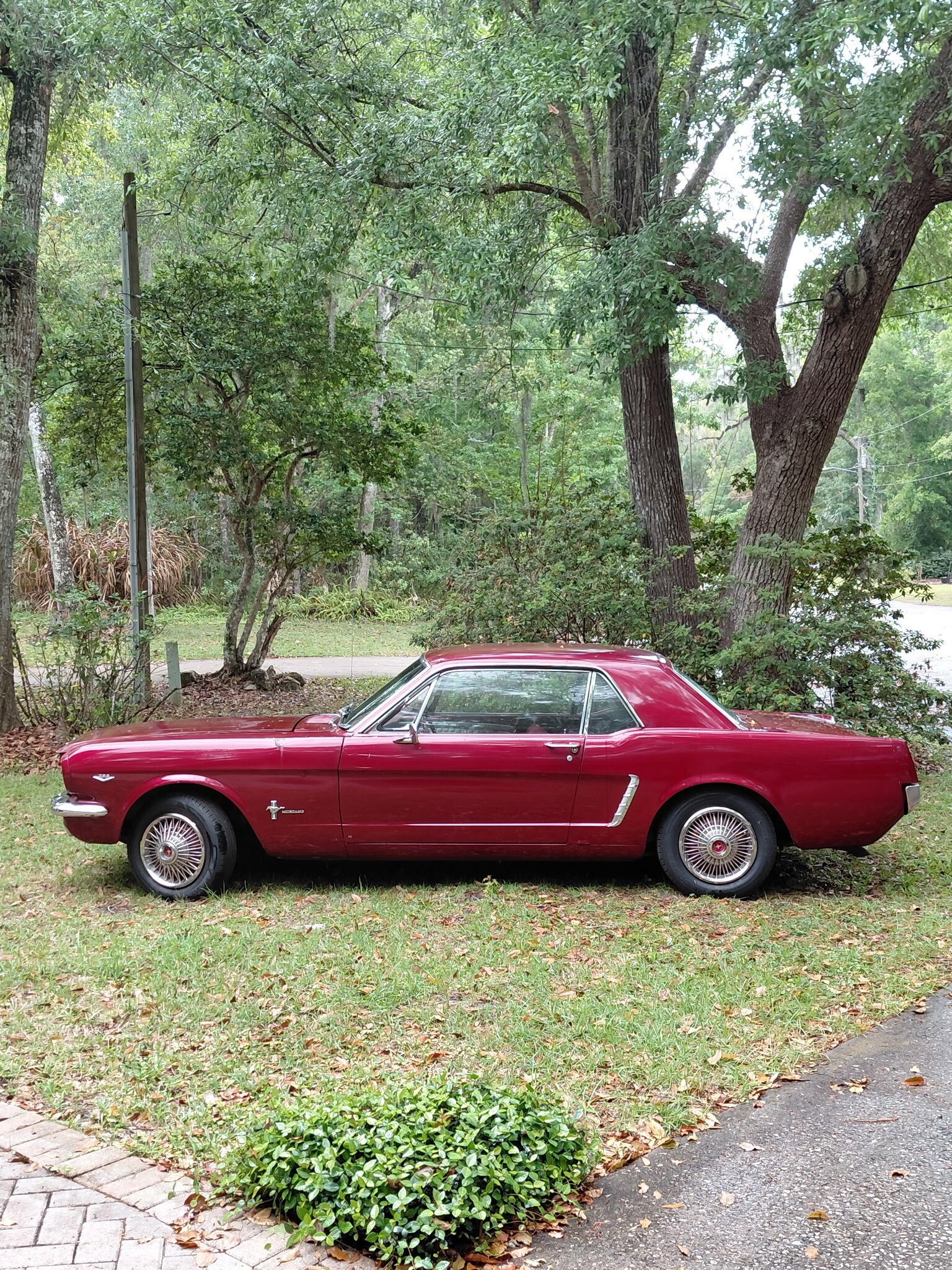 1965 Ford Mustang Coupe