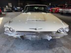 Thumbnail Photo 1 for 1965 Ford Thunderbird