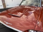 Thumbnail Photo 5 for 1965 Ford Thunderbird