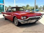 Thumbnail Photo 2 for 1965 Ford Thunderbird