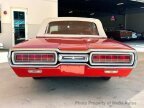 Thumbnail Photo 5 for 1965 Ford Thunderbird
