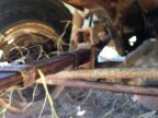 Thumbnail Photo 5 for 1965 Jeep J-Series Pickup