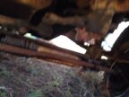 Thumbnail Photo 6 for 1965 Jeep J-Series Pickup