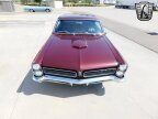 Thumbnail Photo 6 for 1965 Pontiac GTO