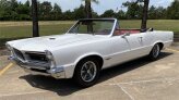 1965 Pontiac Le Mans