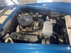Thumbnail Photo 1 for 1965 Shelby Cobra
