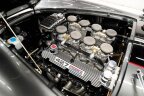 Thumbnail Photo 5 for 1965 Shelby Cobra