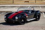 Thumbnail Photo 3 for 1965 Shelby Cobra