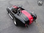 Thumbnail Photo 3 for 1965 Shelby Cobra