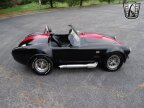 Thumbnail Photo 6 for 1965 Shelby Cobra