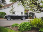 Thumbnail Photo 4 for 1965 Shelby Cobra